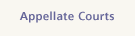 Appellate Courts