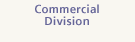 Commercial Division