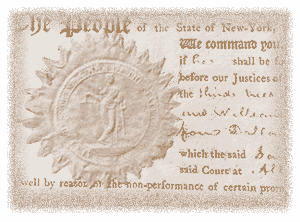 Detail of NY State Constitution