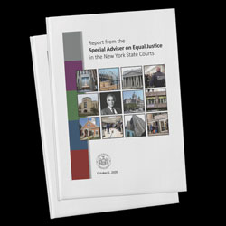 Report Image