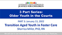 Older Youth in the Courts