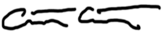 Signature for Honorable Anthony Cannatoro, Acting Chief Judge of the Court of Appeals.