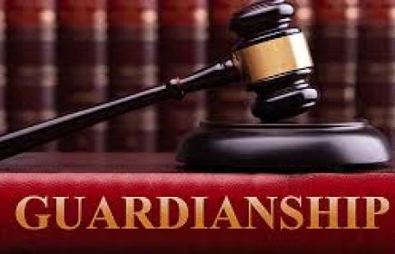 Guardianship Programs & Services