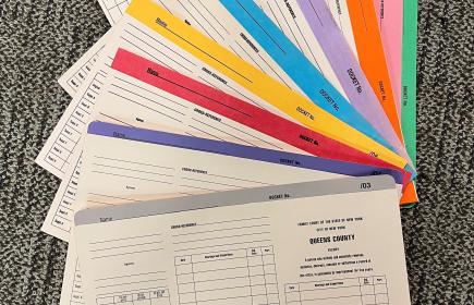 New York City Family Court Records Image